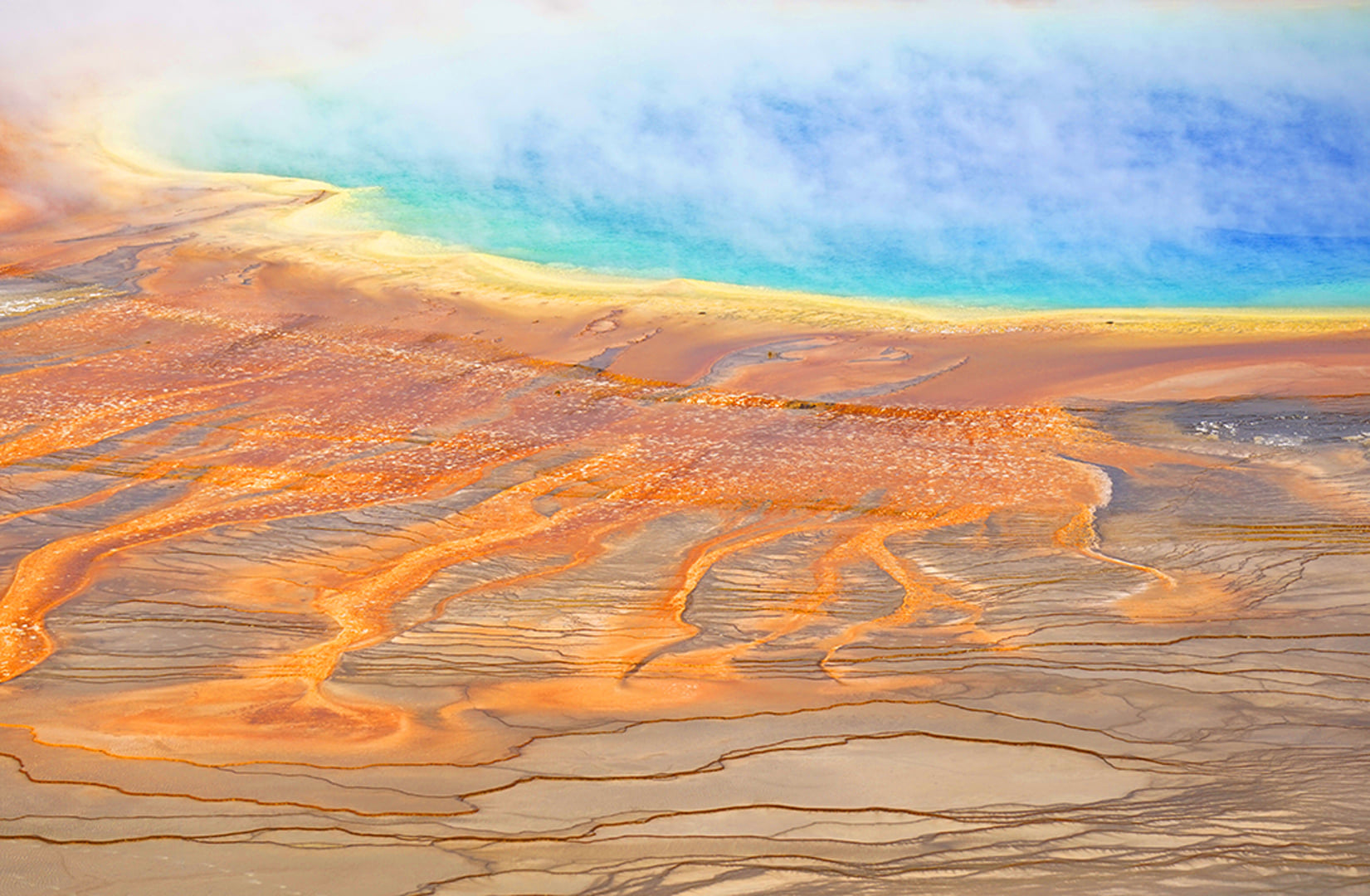 173208459 3852706988182342 8842595338790022790 n