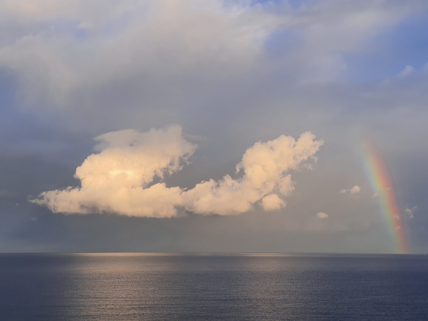 20191213 075456 1 scaled