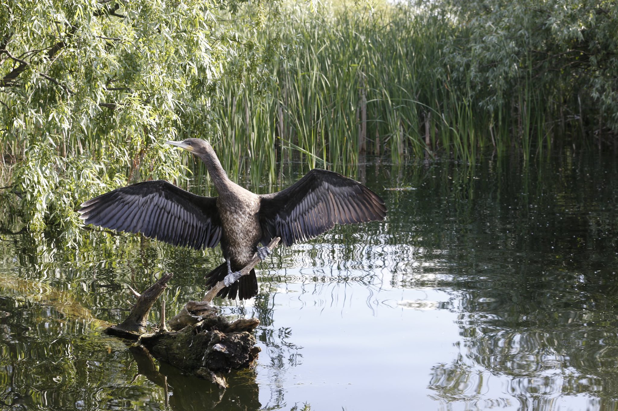 60415464 2194108714042186 2117242658714812416 n