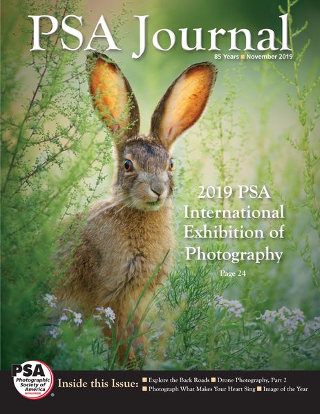 75439219 2509617669157954 8334093590724608000 n