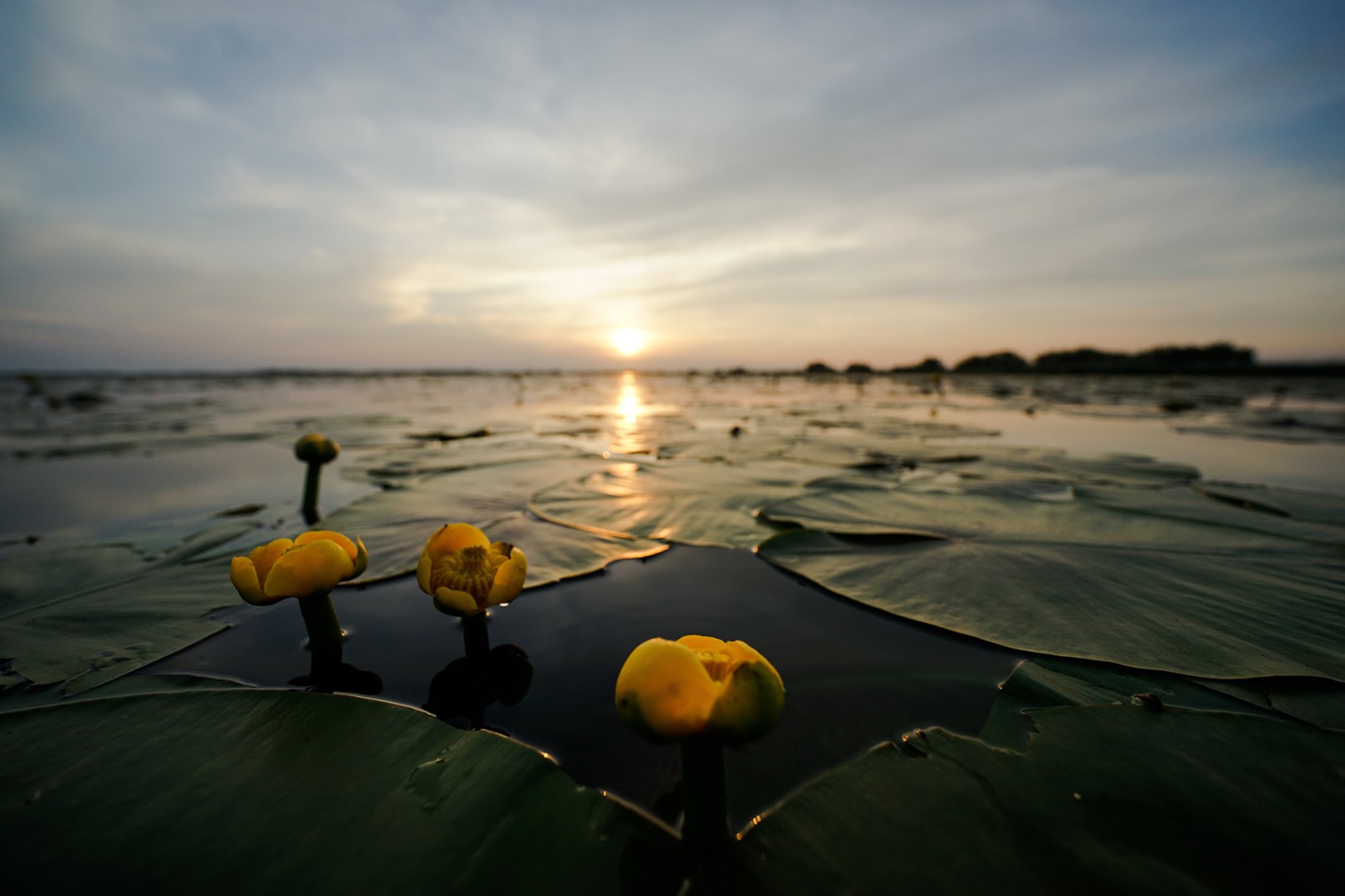 82007360 2672072662912453 5550484385213448192 n