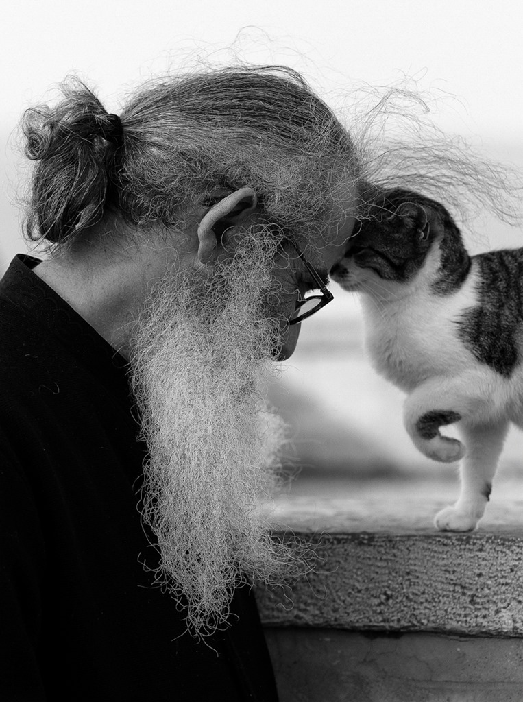 83097743 2692002467586139 1530665888334741504 n