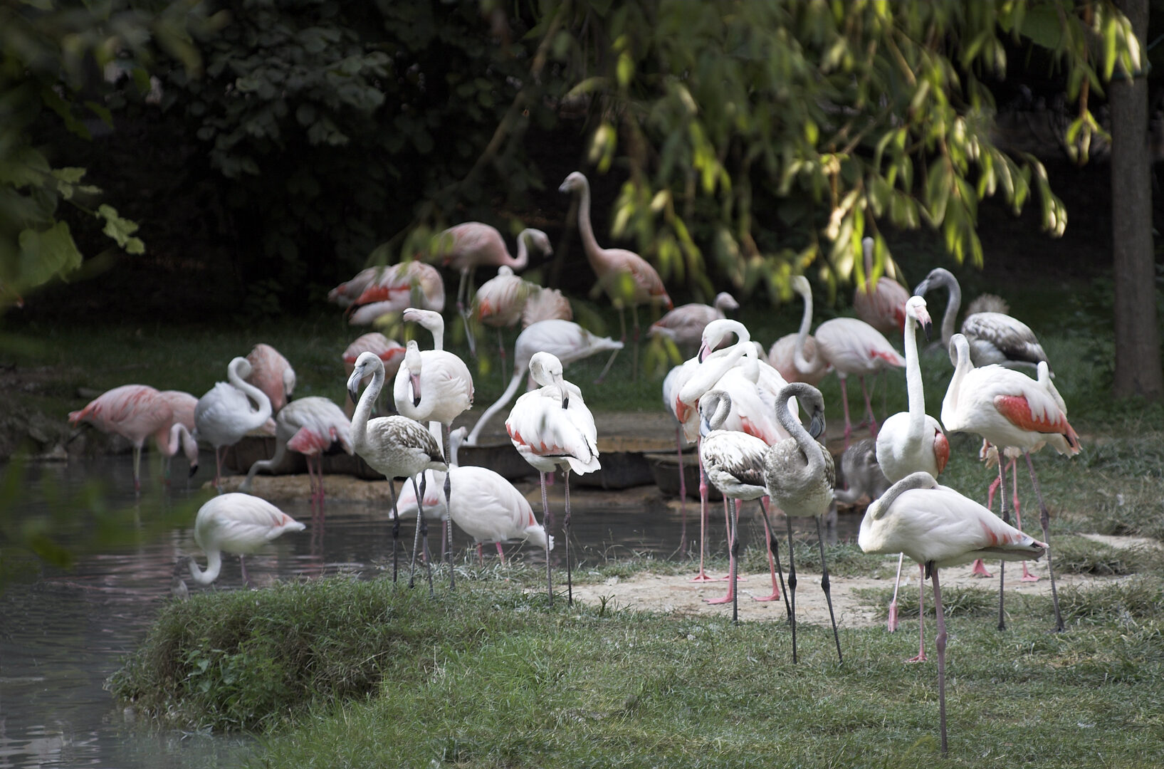 metzakis.manolis B4 1